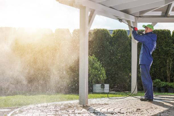 Best Dumpster Area Cleaning  in York, AL